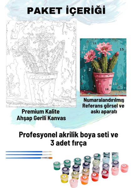 Pembekaktüs fiyatları