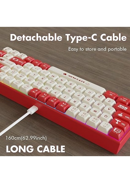 AK680 Kırmızı Switch Hot-Swap Kablolu Klavye Rainbow Light Type C Kablolu (Kırmızı Switch) fırsatları