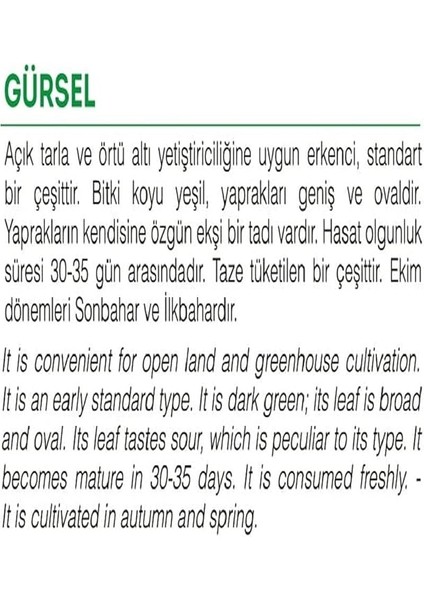 Tarım Ata Tohumu Yerli Kuzukulağı Gürsel 1000 Adet Tohum fiyatları