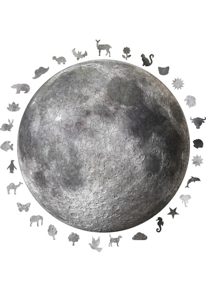 - Ahşap Puzzle Yetişkinler Için - Benzersiz Parçalı Puzzle - 252 Parça Ahşap Yapboz - Yapıştırıcı Folyo Dahil - Dekoratif Ahşap Puzzle - 29X29 cm - A1-03