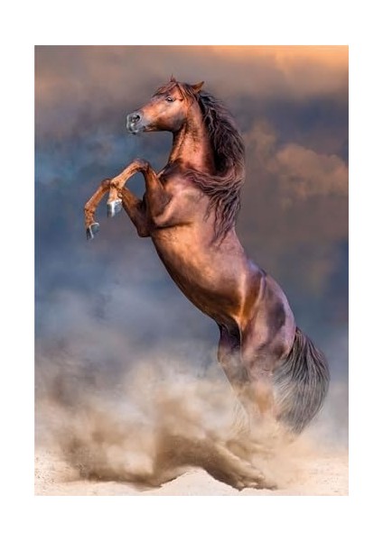 500 El. Hq Red Stallion fiyatları