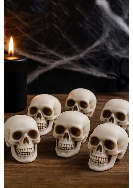 Halloween Bayramı Kuru Kafa 6 Lı Beyaz