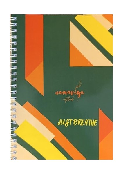 Spiralli Okul Defteri 100 Sayfa-Çizgisiz (Yeşil) fiyatları