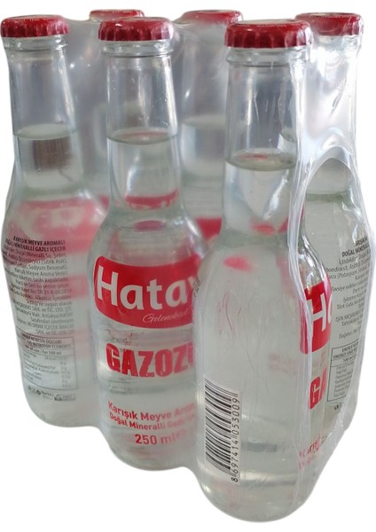 Gazozu 250 ml 6'lı