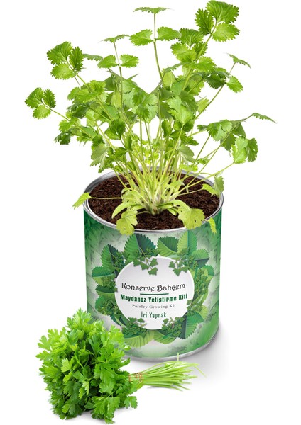 4 Adet Konserve Maydanoz Yetiştirme Kiti KB005 fiyatları