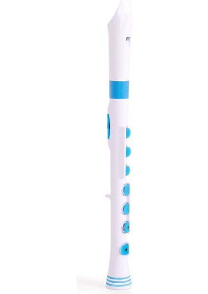 Recorder+, Beyaz-Mavi, Barok modelleri