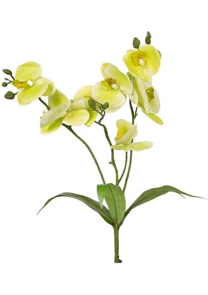 Yapay Orkide Gerçek Dokunuş Yeşil 45 Cm. fiyatları
