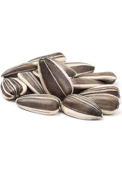 Tuğba Kuruyemiş Siyah Ayçekirdeği 500 Gr(Tuzsuz)