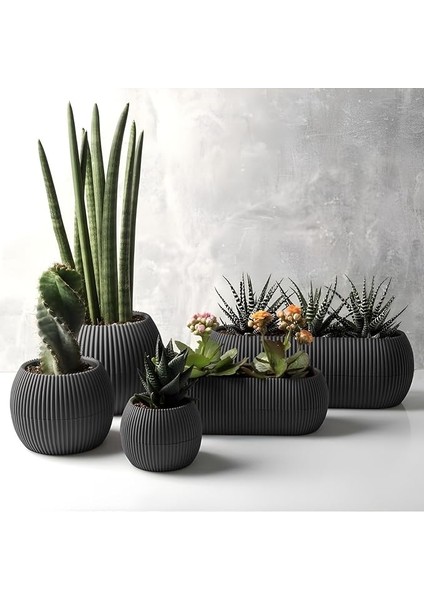 5 Parça Mercan Kaktüs Saksı Seti Plastik Sukulent Saksısı Set (Antrasit)