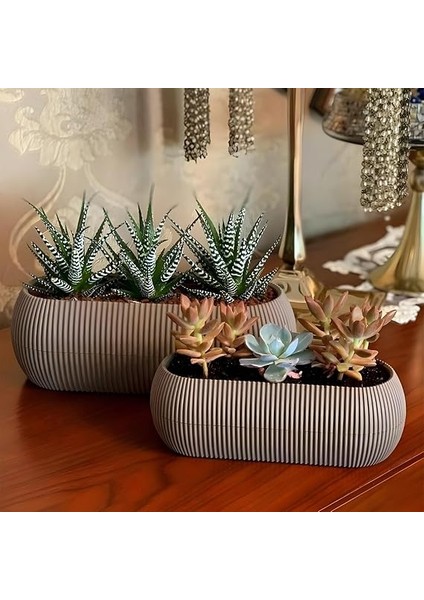 5 Parça Mercan Kaktüs Saksı Seti Plastik Sukulent Saksısı Set (Antrasit) fırsatları