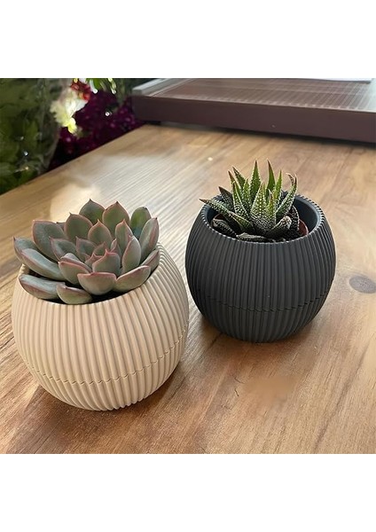 5 Parça Mercan Kaktüs Saksı Seti Plastik Sukulent Saksısı Set (Antrasit) indirimleri