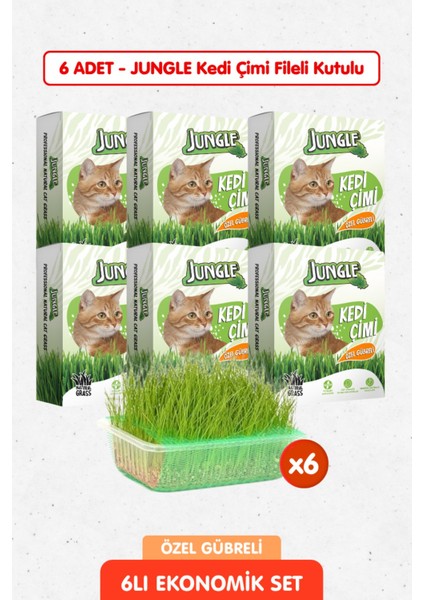 6 Adet Özel Gübreli Doğal Kedi Çimi Fileli ve Kutulu Tüy Yumağı Önleyici