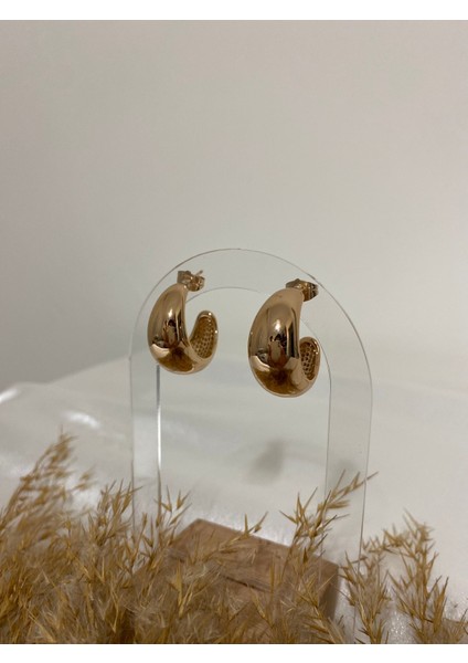 Modern Halka Xupıng Çelik Küpe fiyatları