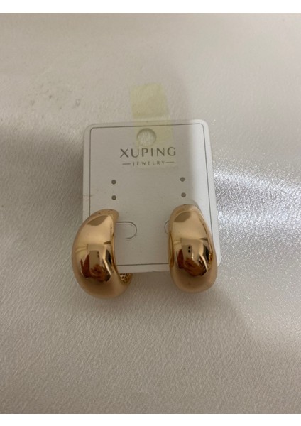 Modern Halka Xupıng Çelik Küpe modelleri