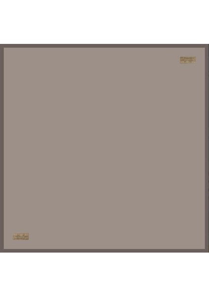 Güz Serinliği Düz Eşarp 27