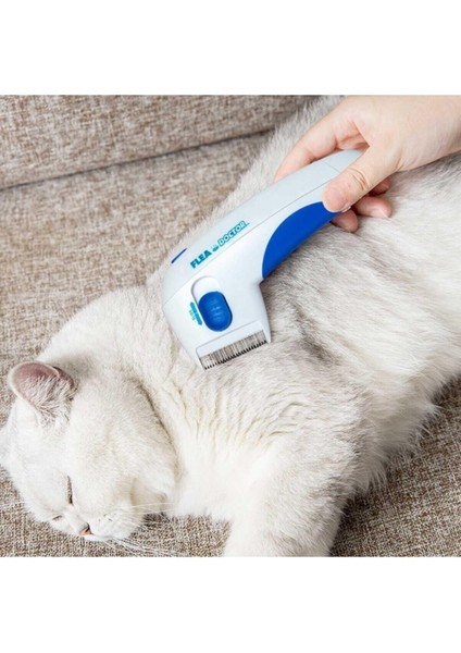 Pilli Kedi ve Köpek Bit ve Pire Tarağı