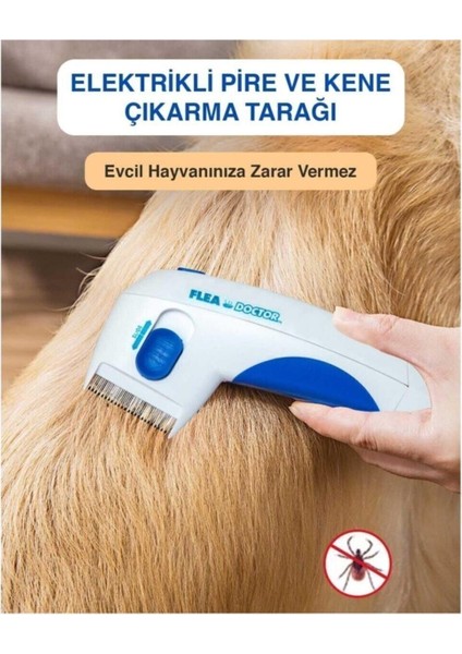 Pilli Kedi ve Köpek Bit ve Pire Tarağı modelleri