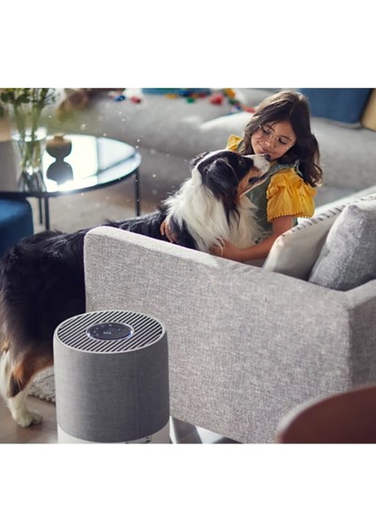 Hava Temizleyici Alerji Önleyici 135M2 Etkili Alan Rahat Uyku Wi-Fi Bağlantılı Hava Temizleme Cihaz modelleri