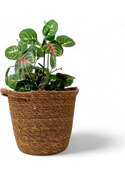 El Yapımı Çift Kulplu Hasır Saksılık | Iç Koruma Poşetli, Doğal ve Dekoratif Çift Kulplu Saksı | Bitkileriniz Için Rustik Tasarım (17CM) - Deconox El Yapımı Çift Kulplu Iç Koruma Poşetli. fiyatları