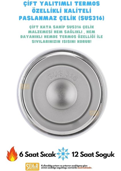 Diller 480ML Sevimli Hayvanlar Süslü Pipetli/pipetsiz El Askılı Paslanmaz Çelik Termos (Puppy Party) indirimleri