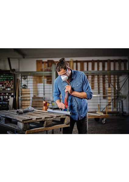 Einhell TC MG 250 CE Raspalama Makinası 250 Watt modelleri