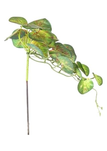 Yapay Bitki Salon Sarmaşığı Kızıl-Yeşil 35 Cm. fiyatları
