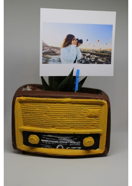 Kişiye Özel Fotoğraflı Retro Radyo ve Canlı Sukulent Saksı Seti