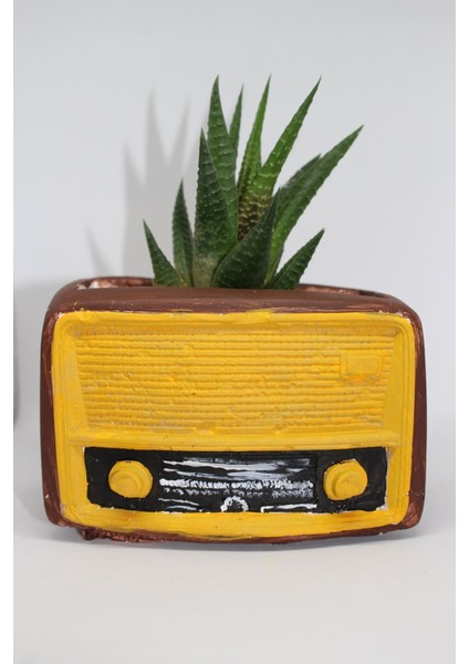 Kişiye Özel Fotoğraflı Retro Radyo ve Canlı Sukulent Saksı Seti fiyatları