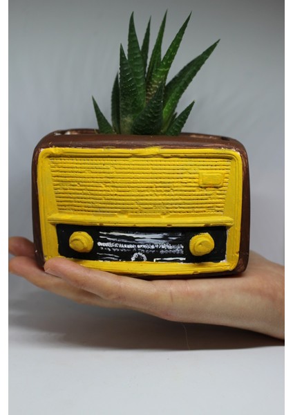 Kişiye Özel Fotoğraflı Retro Radyo ve Canlı Sukulent Saksı Seti modelleri