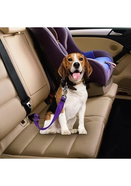 Evcil Hayvan Araç Emniyet Kemeri Kedi Köpek Araba Oto Tasması Oto Aksesuarları (Mor)