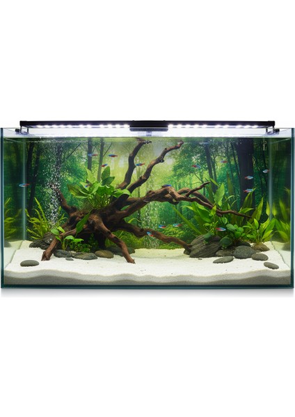 Premium Beyaz Akvaryum Kumu 1-3 mm 5 kg - Bitkili Akvaryumlara Uygun fiyatları