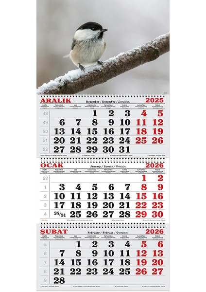 2026 Yılı Gemici Takvimi- Daldaki Kuş