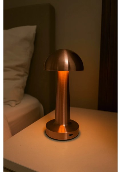 Rose Gold Metal Gövdeli Mantar LED Masa Lambası modelleri