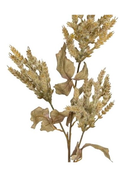 Çiçekli Bitki Pampas Yeşil 90 Cm. fiyatları