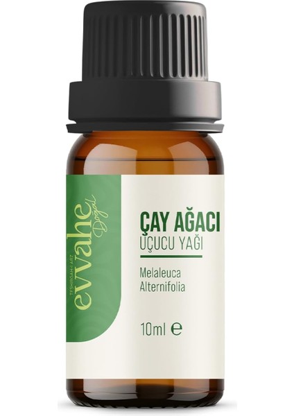 Evvahe Doğal Çay, Ağacı, Yağı, (10ML.)