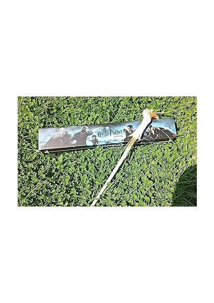 Harry Potter - Lord Voldemort Asa 33 cm Özel Kutulu modelleri