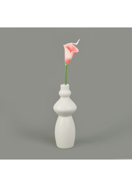 Dal Gala Çiçeği - Asorti - 33 cm