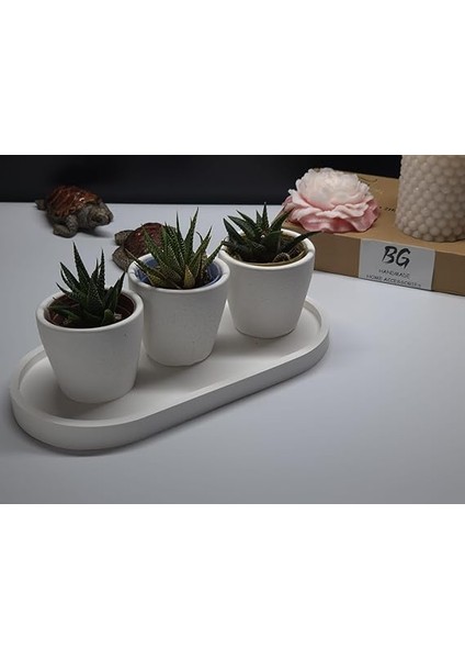 Sukulent Saksı Seti Tip-1 fiyatları