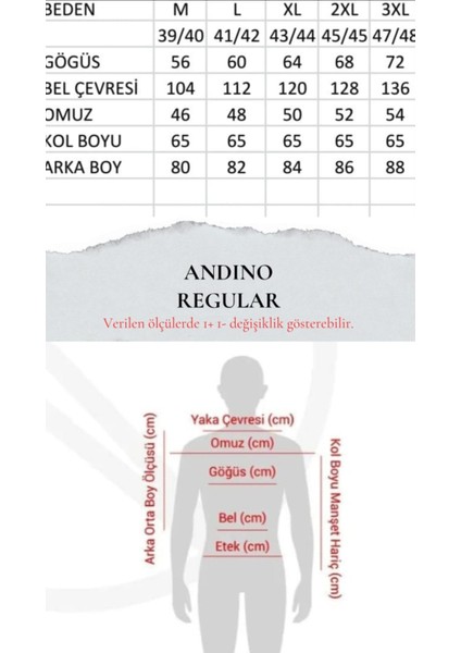 Regularfit Siyah Çizgili Erkek Gömlek Likralı Esnek Kumaş Yaka Alttan Düğmeli AR0720711-03