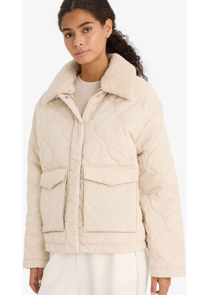 Regular Fit Polo Yaka Polar Astarlı Mont F2146AX25WN