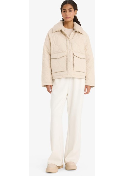 Regular Fit Polo Yaka Polar Astarlı Mont F2146AX25WN fiyatları