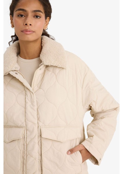 Regular Fit Polo Yaka Polar Astarlı Mont F2146AX25WN fırsatları