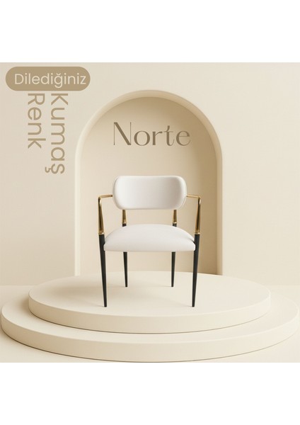 Atlas ( 1 Adet ) Lüks Metal Gold Cafe Restorant Sandalyesi Ofis Sandalyesi