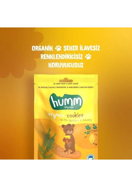 Bfs Humm Organik Ballı ve Kinoalı Kurabiye 55 gr fiyatları