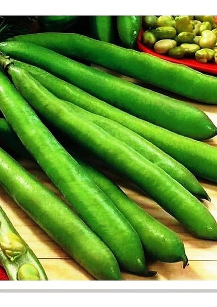 Tarım Ata Tohumu Yerli Bakla Sevilla 30 Adet Tohum