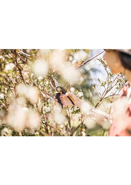 Bypass M Bahçe Makası, x Serisi Powergear, P921, Döner Sap, Taze Dallar Için, Yapışmaz Kaplama, Paslanmaz Çelik Bıçaklar, Uzunluk: 20,1 Cm, Siyah/turuncu, 1057173 fırsatları