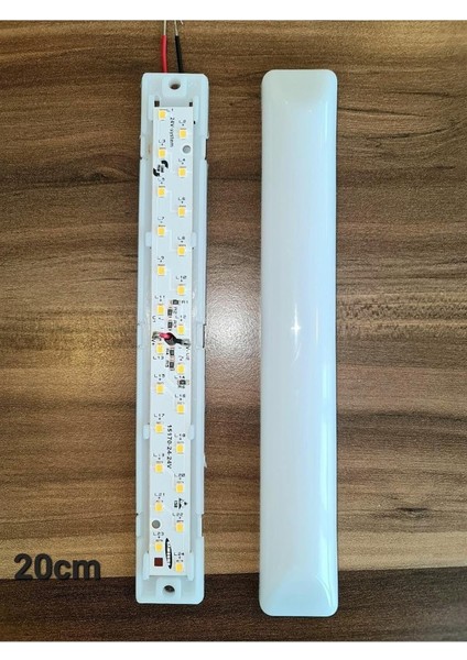 10'lu Paket 12V Tente LED Aydınlatma 20CM-OVAL Taban- Beyaz Işık 6500K