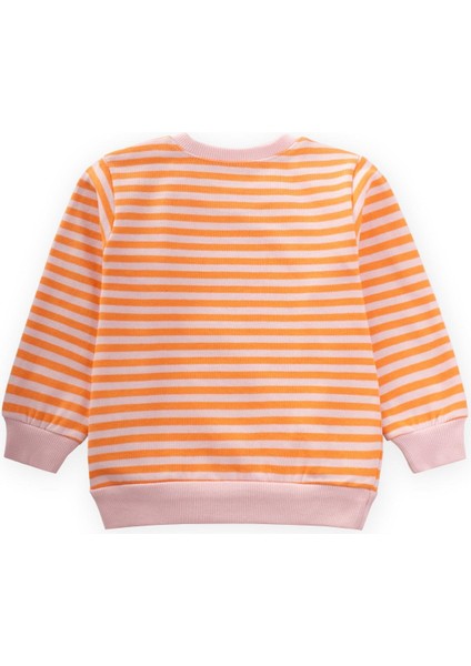 Çizgili Triko Sweatshirt 0-4 Yaş Pudra Şeftali fiyatları