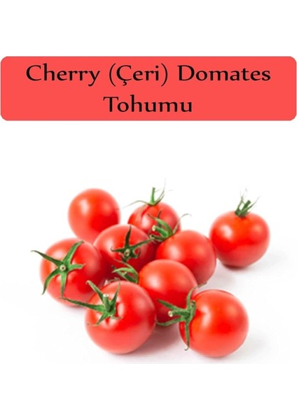 Organik Çeri Domates Tohumu 1 Paket (1GR=250+ Adet) Cherry Domates Salkım Domates Tohumu