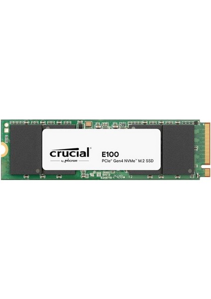 480GB E100 Serisi Nvme M.2 SSD (Okuma 4700MB / Yazma 2500MB)